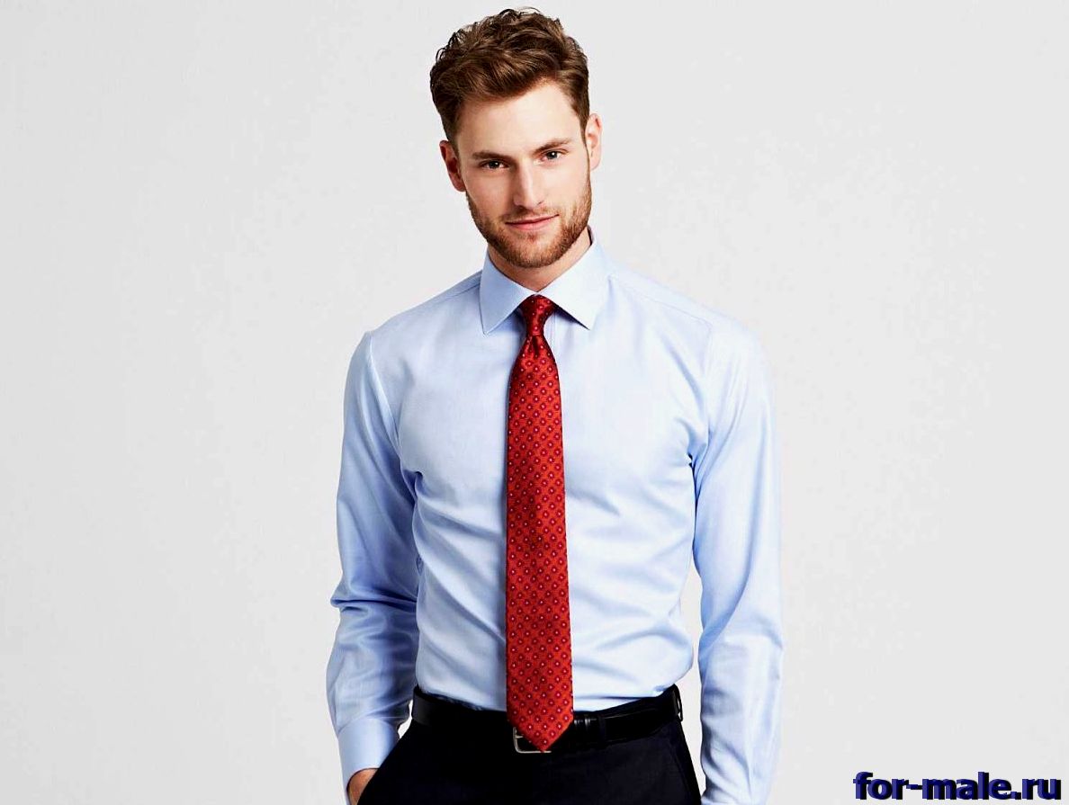 парень в офисной рубашке с галстуком